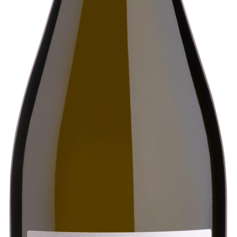 LONGEVO VINO FRIZZANTE BIANCO